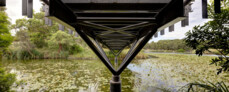 Bara Bridge, Centennial Parklands, Sydney | Sam Crawford Architects | Photo: © Brett Boardman