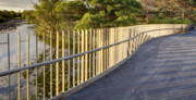 Bara Bridge, Centennial Parklands, Sydney | Sam Crawford Architects | Photo: © Brett Boardman