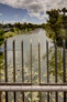 Bara Bridge, Centennial Parklands, Sydney | Sam Crawford Architects | Photo: © Brett Boardman