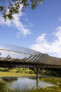 Bara Bridge, Centennial Parklands, Sydney | Sam Crawford Architects | Photo: © Brett Boardman