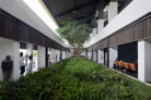Banyuwangi International Airport, Blimbingsari, East Java (Indonesia) | Green area inside the airport. | © Aga Khan Trust for Culture / Mario Wibowo (photographer)
