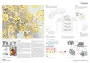 1. Rang: FUSILLI | Laura Die Nardo · Laura Imperiali · Charlotte Neyenhuys, Eidgenössische Technische Hochschule Zürich (CH)