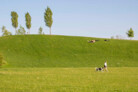 Auszeichnung: Landschaftspark Paul-Gerhardt-Allee in München | lohrer.hochrein landschaftsarchitekten und stadtplaner gmbh (München)