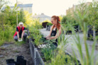 Finalist: “Sporta pils dārzi” urban garden in Riga, 2021. Riga, Latvia. | Artilērijas dārzi | Photo: © 2021 Kristīne Majare