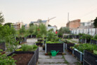 Finalist: “Sporta pils dārzi” urban garden in Riga, 2021. Riga, Latvia. | Artilērijas dārzi | Photo: © 2021 Kristīne Majare