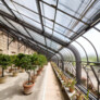 Denkmalgerechte Sanierung Gewächshäuser Botanischer Garten