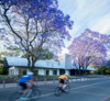 Parramatta Park Pavilion in Sydney, Australia | Sam Crawford Architects (SCA), Sydney | Photo: © Brett Boardman