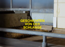Fachsparte Freie Kunst | Sonderpreis der Stiftung Berliner Leben: Kilian Schneider · Louis Speer (TU Berlin)