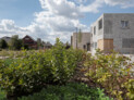 Social Housing in Dessel, Belgium | Studio Farris Architects | Photo: © Koen Van Damme