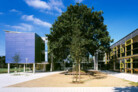 Neubau Realschule mit Sporthalle Henstedt-Uelzburg