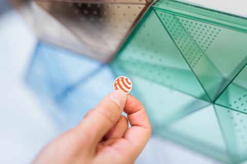 Red Dot Award: Product Design 2023
