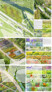 3. Preis: Lohaus Carl Köhlmos Part GmbB Landschaftsarchitekten Stadtplaner, Hannover