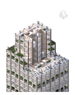 SKYHIVE Timber Skyscraper Challenge / Edition #6