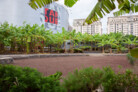 Award | Exterior Spaces category: The ecological restoration of the garden of El Tanque Cultural Space, in Santa Cruz de Tenerife | Architect Fernando Menis | © Simona Rota