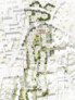 Anerkennung StudioVlayStreeruwitz ZT GmbH, Wien · Lindle + Bukor OG atelier für landschaft, Wien | Lageplan