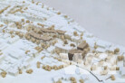 3. Preis .atelier coa, Stuttgart · Planstatt Senner für Landschaftsarchitektur und Umweltplanung, Überlingen | Modellfoto: SCHIRMER Architekten + Stadtplaner GmbH, Würzburg 