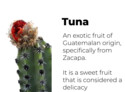 2. Preis: Tuna | Rodrigo Galvez · Estefania Miralles (Guatemala)