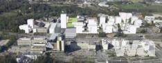 Rathaus und Stadtzentrum