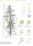 2. Preis: Werner Hartwig GmbH · AS+P Albert Speer + Partner GmbH