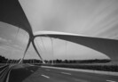 Jiangxi River Bridge, Chengdu (China) | Zaha Hadid Architects | Photo: © Liang Xue