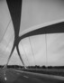 Jiangxi River Bridge, Chengdu (China) | Zaha Hadid Architects | Photo: © Liang Xue