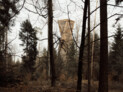 Auszeichnung: Aussichtsturm Hardwald | Anrainergemeinden Hardwald · Luna Productions, Deitingen | Foto: © Ladina Bischof, St. Gallen