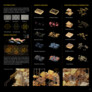 1. Preis: Heterotopia | © Yanyun Wang · Jiafei Liu · Wenhan Li · Teng Guo, China