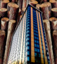 Honourable Mention: The Re-Rise of Wood – Mass Timber Towers | © Miral Rana, Indien