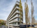 Best of Best: Hammerschmidt | b+