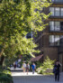 Public Space Winner: Elephant Park, Elephant and Castle, London | Gillespies for Lendlease | Photo: © John Sturrock