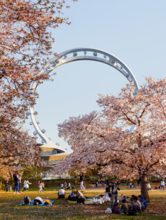 Seoul Observation Wheel