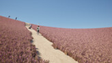 Buildner Sustainability Award: The Path of Life | © José Miguel Vásquez, Antonia Eterovic, University The Adolfo Ibáñez University (Chile)