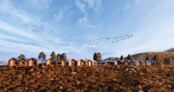 1. Preis: City on a Hill | © Lukas Hendricks, California Baptist University (USA)