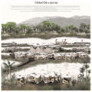 Honourable Mention: Xinwang Chen (China)