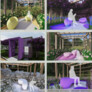 OLFACTORY GARDEN 2023