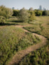 Revitalisierung des Pole Mokotowskie Park / Rewitalizację Parku Pole Mokotowskie | © WXCA - A. Borun, T. Wieteska