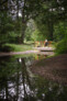 Revitalisierung des Pole Mokotowskie Park / Rewitalizację Parku Pole Mokotowskie | © WXCA - A. Borun, T. Wieteska