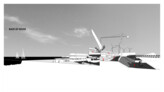 1. Preis/ 1st prize: © Alejandro Rodriguez, University of Florida