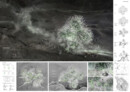 Honourable Mention: Osmosis | © Wan Zilin and Ren Yinghui (China)