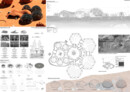 Honourable Mention: © Muzhi Wang and Ruoxuan Hu (United States)