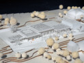 2. Preis: JSWD Architekten, Köln | L 02 Landschaftsarchitektur, Münster | Pirlet und Partner Ingenieurgesellschaft mbH, Köln | 