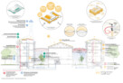2. Preis: HPP Generalplanung GmbH mit HPP Architekten GmbH | KEMPEN KRAUSE HARTMANN INGENIEURGESELLSCHAFT MBH | DSTR Planungsgesellschaft für technische Gebäudeausstattung mbH | Greengineers GmbH