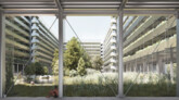 3. Preis: Städtische Biodiversität - Ein Stück Multi-Spezies-Stadt in Berlin | Philipp Zenner, Merzig