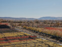 Finalist in the General category: Urban Forest. Tbilisi, Georgia | Ruderal | Image: ©George Kolbaia