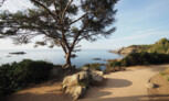 Finalist in the Seafront category: Coastal walk. Palamós, Spain | Estudi Martí Franch Arquitectura del Paisatge, Ardevol Consultors Associats | Image: ©Martí Franch