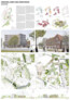 Anerkennung: rheinflügel baukunst, Düsseldorf | A24 Landschaft Landschaftsarchitektur GmbH, Berlin