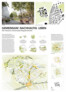 2. Preis: Asp Architekten, Stuttgart/Berlin | Koeber Landschaftsarchitektur, Stuttgart