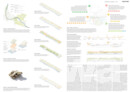 1. Rang / 1. Preis: MULTITUDE | Franz Reschke Landschaftsarchitektur, Berlin | Stauffer Rösch AG, Basel | Rudolf Keller & Partner Verkehrsingenieure AG, Muttenz | Kissling + Zbinden AG, Bern | Landschaft planen + bauen Berlin GmbH, Berlin