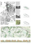 2. Preis: Fink+Jocher, München | Uniola GmbH Landschaftsarchitektur Stadtplanung, München