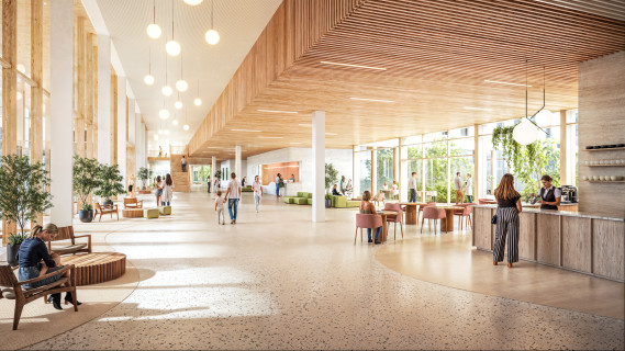 Medizinische Hochschule Hannover